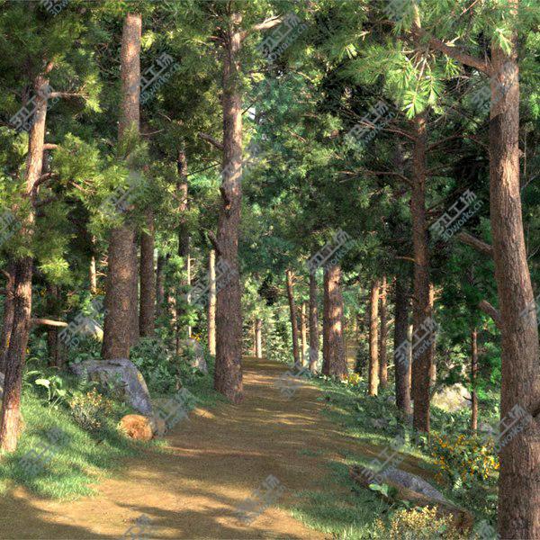 images/goods_img/20210312/3D Jungle With Road For Biking and Hiking model/1.jpg